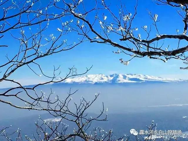 生活中如果和几个从小玩到大的狐朋狗友闹僵了还骂起来了还有必要留着它们电话，qq和微信吗？？我现在结游戏画面